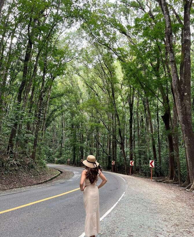 Bohol: Guided Chocolate Hills & Tarsiers Tour - The Authenticity and Support of the Guides