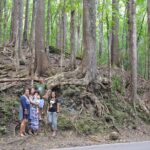 Bohol Island Countryside Tour with Buffet Lunch River Cruise (Cebu or Bohol) - FAQs