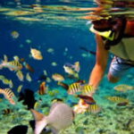 Bohol Island Hopping Tour - The Sum Up