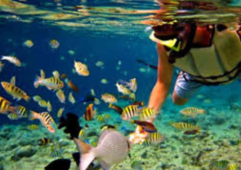 Bohol Island Hopping Tour - The Sum Up