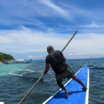 Bohol: Pamilacan Island Dolphin/Turtle Watching Tour & Lunch - Key Points