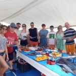 Bohol: Pamilacan Island Fun Dive Experience! - An In-depth Look at the Pamilacan Island Fun Dive Experience