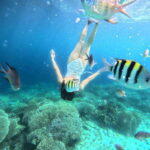 Bohol: Panglao Island Hopping Tour with Snorkeling (Private) - What Makes This Tour Stand Out?