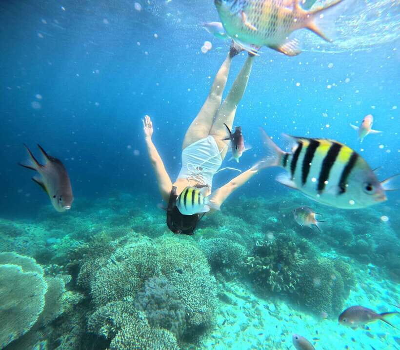 Bohol: Panglao Island Hopping Tour with Snorkeling (Private) - What Makes This Tour Stand Out?
