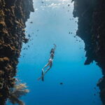 Bohol: Private Sardine Snorkel & Tropical Fish Tour - What the Tour Includes and How It Works