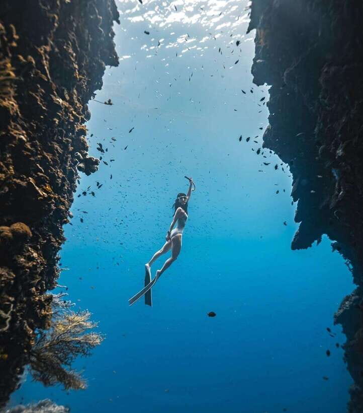 Bohol: Private Sardine Snorkel & Tropical Fish Tour - What the Tour Includes and How It Works