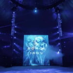 Bohol Show Ocean Fantasy - Why This Tour Is Worth Considering