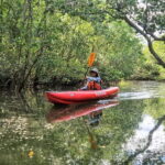 Bohol: SUSTAINABLE Mangrove Tunnels & Firefly Kayaking trail - Who Will Love This Tour?