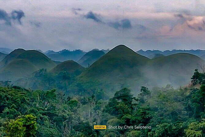 BOHOL Tour 2025 - Chocolate Hills, Tarsier and River Cruise Lunch - Who Is This Tour Best for?