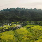 Bohol Waterfalls Tour with Lunch - Who Will Love This Tour?