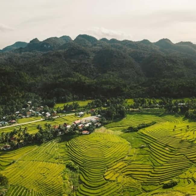 Bohol Waterfalls Tour with Lunch - Who Will Love This Tour?