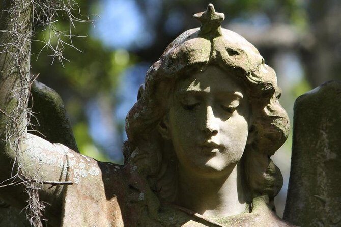 Bonaventure Cemetery Walking Tour with Transportation - The True Value of This Tour
