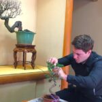 Bonsai Tour & Experience at the Most Sacred City for Bonsai in JP - The Itinerary in Detail