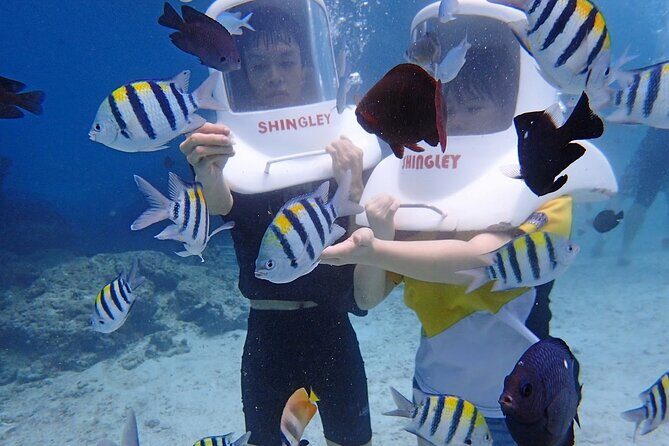 Boracay Helmet Diving - Who Will Love This Experience?