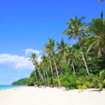 Boracay: Island Hopping Boat Tour with Crystal Cove Entry - Who Will Love This Tour?