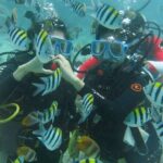Boracay PADI Discover Scuba Diving - Detailed Breakdown of the Tour Journey