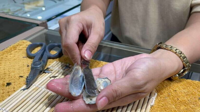 Boracay: Private Land Tour with Pick a Pearl Experience - What We Loved About the Tour