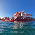 Boracay: Red Whale Party Cruise w/ Snacks & Water Activities - Who Should Consider This Tour?