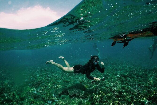 Boracay Snorkeling & Island Hopping tour - Who Would Love This Tour?