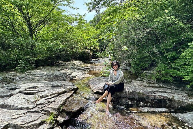 Boseong Tour : Green Tea Field, Mountain & Lake Trail (Private) - A Detailed Look at the Boseong Tour