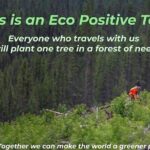 Boston and the Freedom Trail, 1-Day Tour from NYC - Possible Drawbacks and Considerations