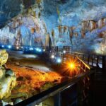 Botacnic Garden, Paradise Cave & Phong Nha Cave Tour - What Makes This Tour Stand Out