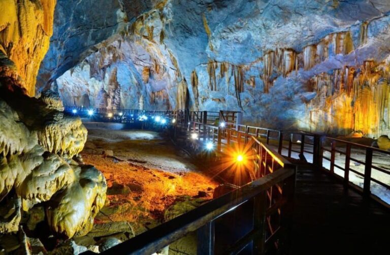 Botacnic Garden, Paradise Cave & Phong Nha Cave Tour - What Makes This Tour Stand Out
