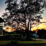 Botanic Gardens & Tiong Bahru Walking Tour with Breakfast - Exploring the Tour in Detail: What to Expect