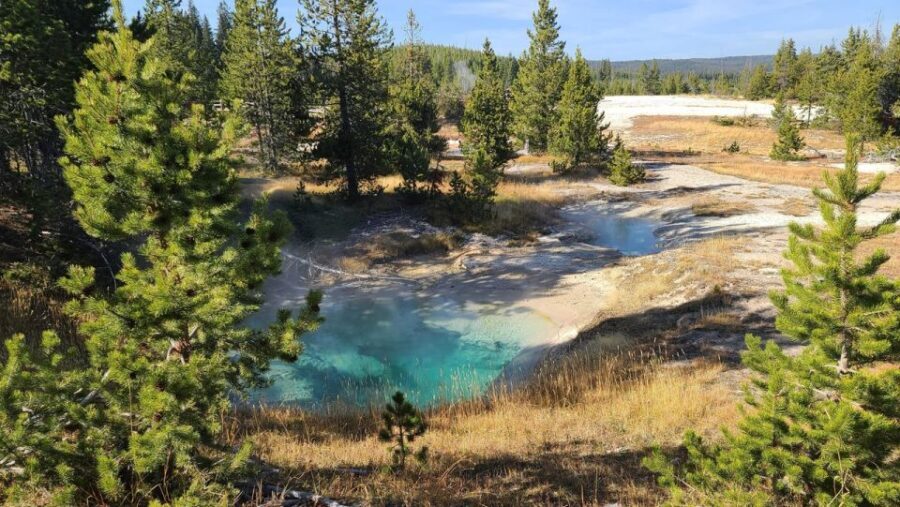 Bozeman: Yellowstone & Grand Teton National Park with Hotel - Final Thoughts: Is It Worth It?