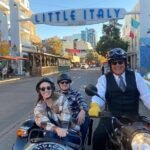 Brewery and Beer Tasting Tour in San Diego - Who Is This Tour Best For?