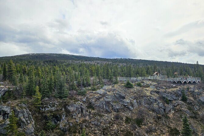 Bridge, Puppies, and Summit Triple Combo in Skagway - The Sum Up: Who Should Consider This Experience?