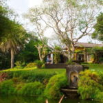 Brief Garden: The Artistic Legacy of Bevis Bawa - Final Thoughts