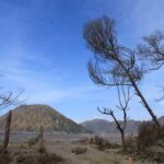 Bromo panorama tour to avoid the crowds - start Malang // 1 day tour - An In-Depth Look at the Bromo Panorama Tour