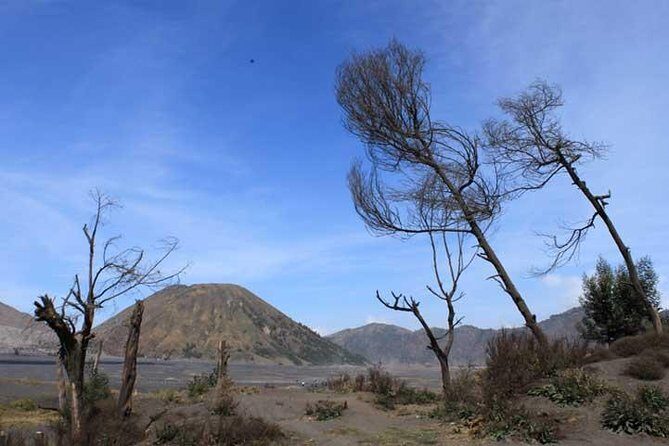 Bromo panorama tour to avoid the crowds - start Malang // 1 day tour - An In-Depth Look at the Bromo Panorama Tour