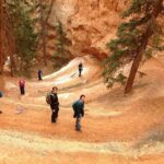 Bryce Canyon and Zion National Park Tour - What We Appreciated
