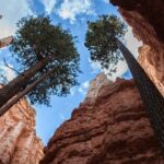 Bryce Canyon Full Day Small Group Tour - The Sum Up