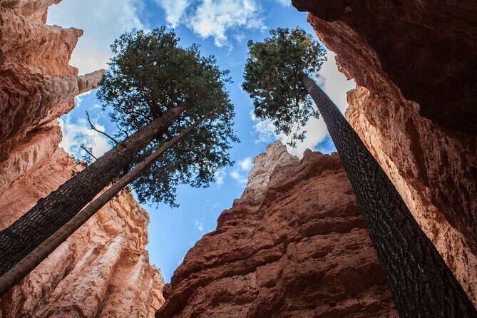 Bryce Canyon Full Day Small Group Tour - The Sum Up