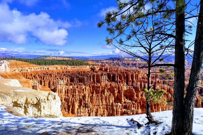 Bryce Canyon & Zion National Parks from Vegas, Lunch, Free WiFi - Who Will Appreciate This Tour?