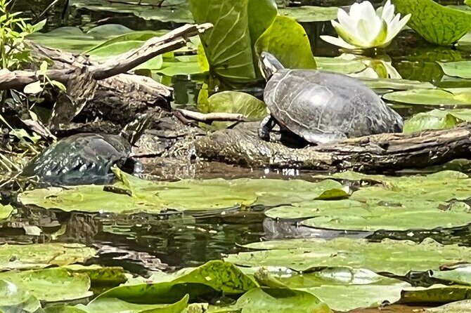 Buckhorn State Park nature hike, kayaking tour, and fishing - Who Will Love This Tour?