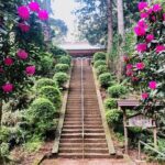 Buddha, Bamboo & Zen - Bespoke Kamakura Private Walking Tours - The Itinerary: What Youll See and Experience