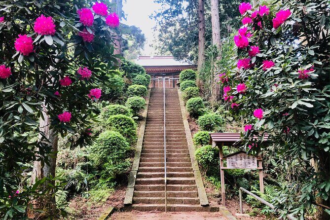 Buddha, Bamboo & Zen - Bespoke Kamakura Private Walking Tours - The Itinerary: What Youll See and Experience