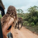 Budget Yala Safari: 1-Night Hostel Stay & Meals Included - Who Is This Tour Best Suited For?