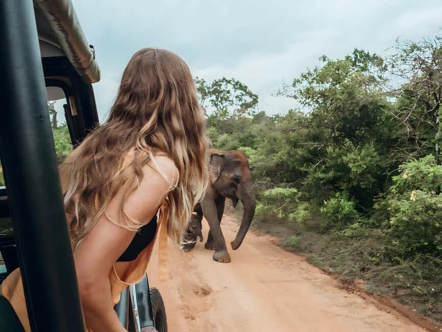 Budget Yala Safari: 1-Night Hostel Stay & Meals Included - Who Is This Tour Best Suited For?