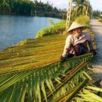 Buffalo riding and Basket Boat Half Day Tour - Summing It Up