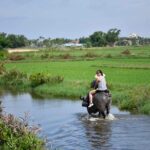 Buffalo Riding and basket boat tour from Da Nang/ Hoi An - A Deep Dive into the Experience