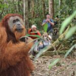 Bukit lawang tour 3days-2 night jungle trekking including rafting - Who Will Love This Tour?