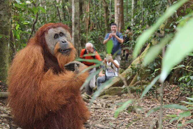 Bukit lawang tour 3days-2 night jungle trekking including rafting - Who Will Love This Tour?