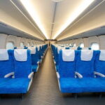 Bullet Train Experience & Mishima Shrine Private Tour from Tokyo - Authentic Experiences That Shine