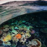 Bunaken Island three-point snorkeling includes lunch and shuttle - Who Should Consider This Tour?