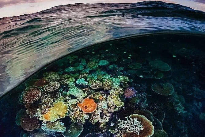 Bunaken Island three-point snorkeling includes lunch and shuttle - Who Should Consider This Tour?